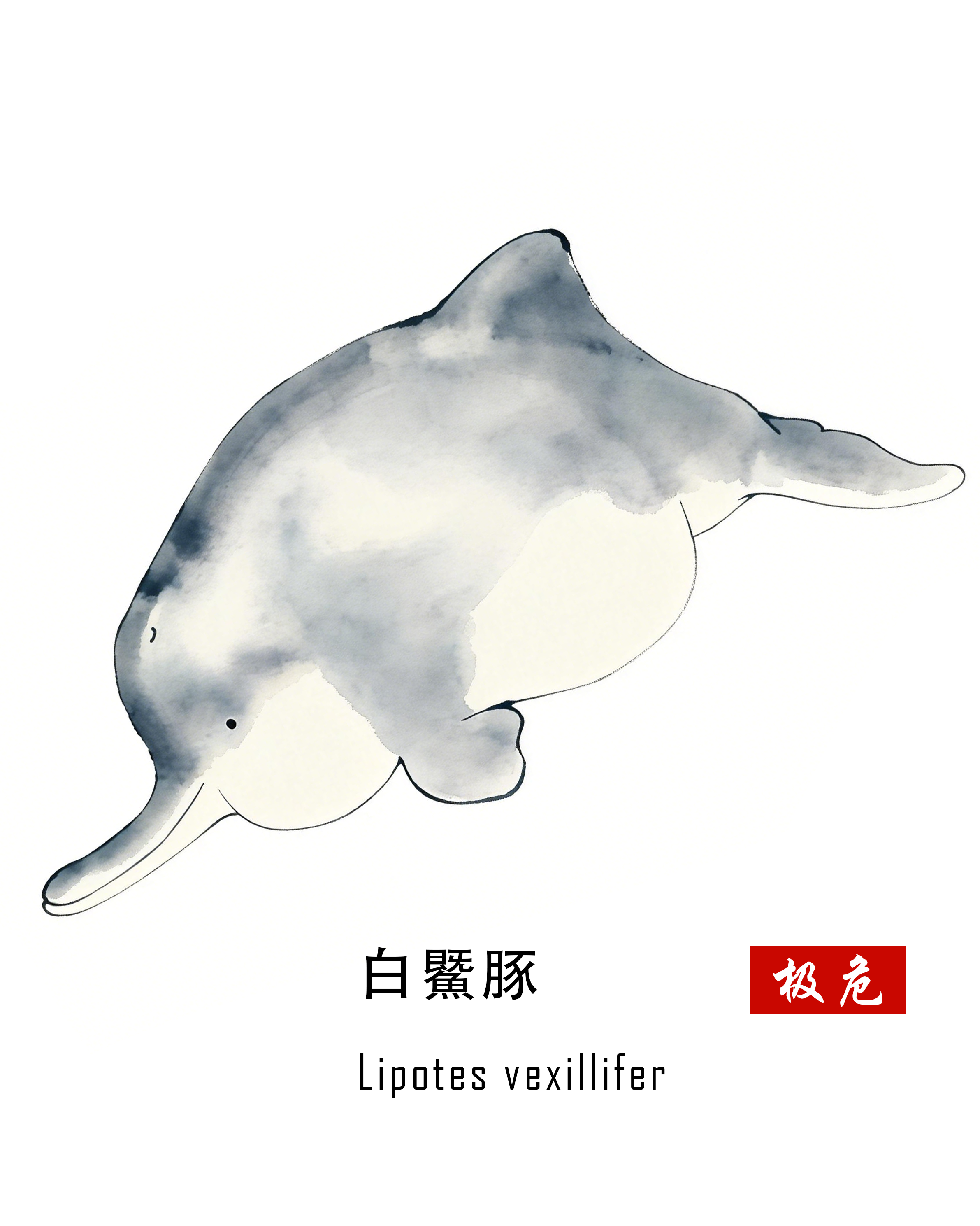 白鱀豚