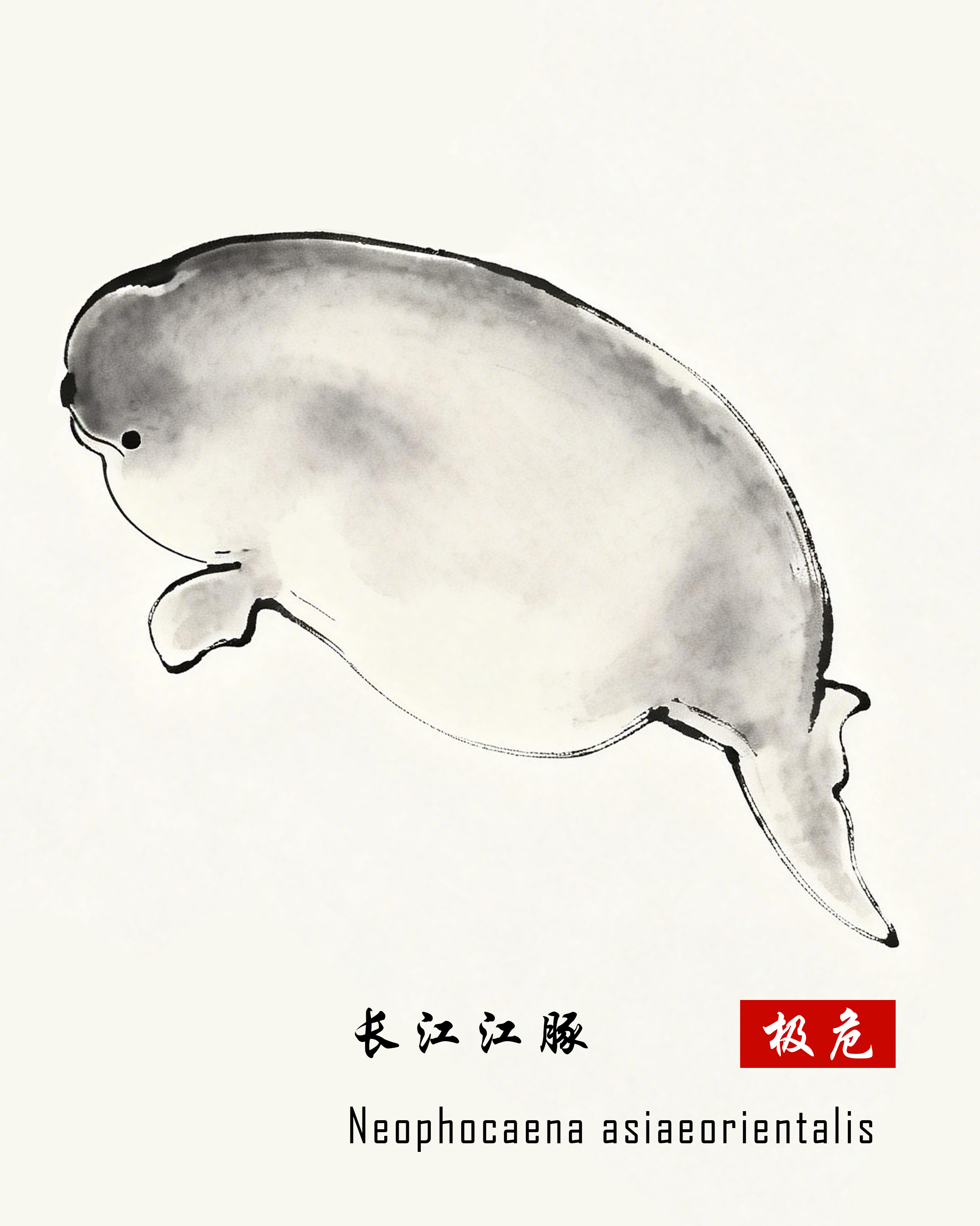 长江江豚